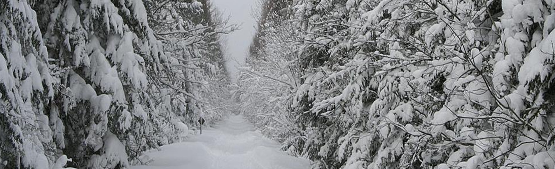 Snowmobile trail in winter