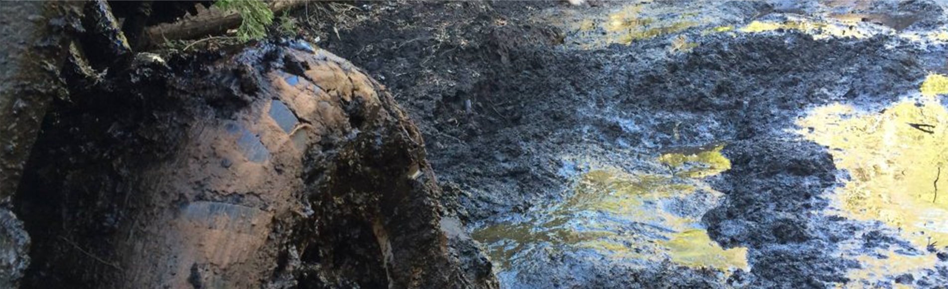 ORV wheel in the mud